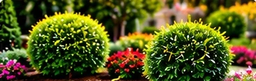 Yard Cleanup & Debris Removal