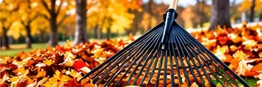 Spring & Fall Seasonal Cleanups
